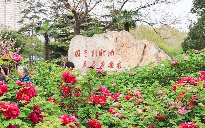 &#20061;&#24030;&#32593;&#39029;&#29256;&#45;&#20061;&#24030;&#40;&#20013;&#22269;&#41;&#95;&#20061;&#24030;&#40;&#20013;&#22269;&#41;